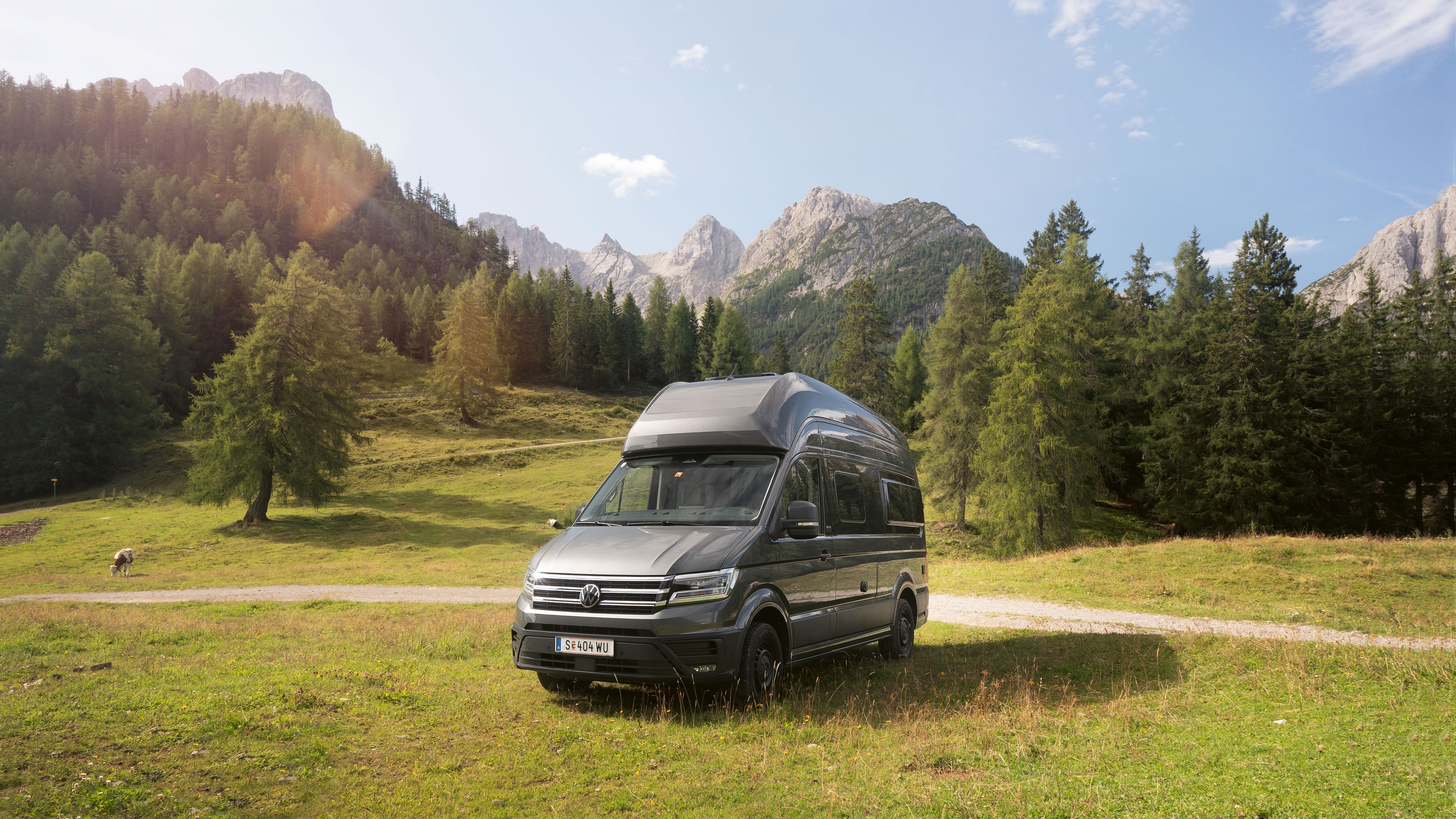 Ein silberner Wohnmobil-Van steht auf einer grünen Wiese vor einer malerischen Berglandschaft mit Bäumen und blauem Himmel.