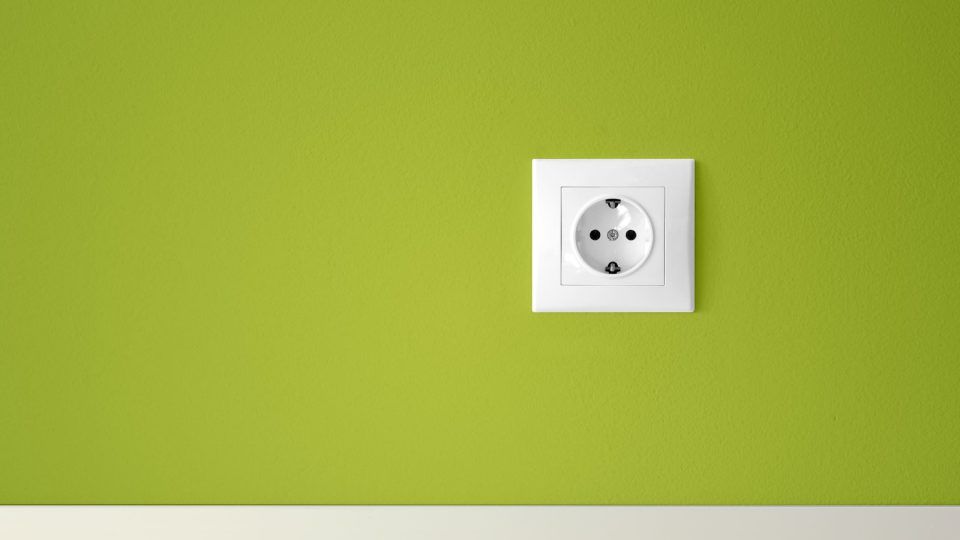 Seeckdose auf grüner Wand