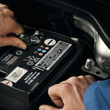vw volkswagen klimaservice filterservice frau blumenwiese